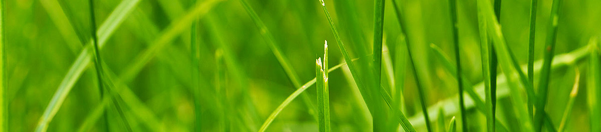 电话呼叫轰炸app